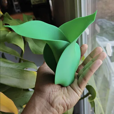 Bình Hoa Lấy Cảm Hứng Từ Lá (Leaf Inspired Vase)