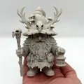 Gnome Lữ Khách Rừng Sâu (Forest Wanderer Gnome) - Thumbnail 1