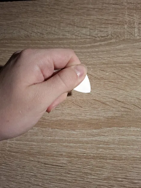 Skautská trsátka (Trsátka guitar Skaut) - Image 3