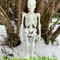 Bộ Xương Người Siêu Chân Thực (Fully Realistic Human Skeleton) - Thumbnail 5