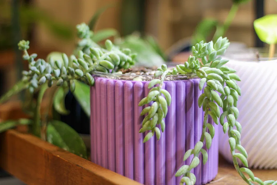 Chậu Trồng Cây Hiện Đại (Modern Planter) - Image 1