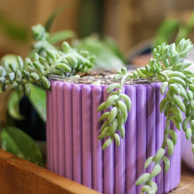 Chậu Trồng Cây Hiện Đại (Modern Planter)