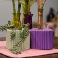 Chậu Trồng Cây Hiện Đại (Modern Planter) - Thumbnail 4