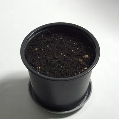 Dĩa lót chậu hình học tối giản phong cách Nhật (Japanese-Inspired Geometric Plant Pot Saucer)