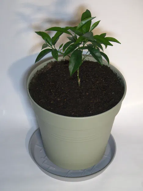 Dĩa lót chậu hình học tối giản phong cách Nhật (Japanese-Inspired Geometric Plant Pot Saucer) - Image 4