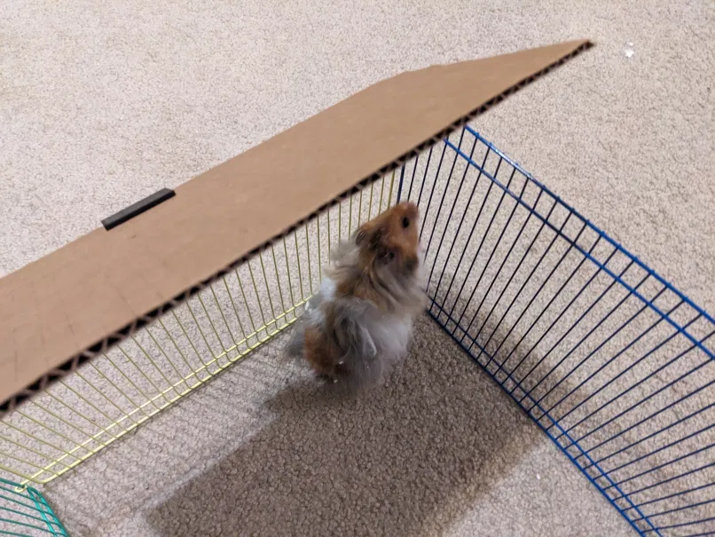 All-in-One-Roof-Rack – Adapter nối bìa carton làm mái/nâng tường chuồng - Image 5