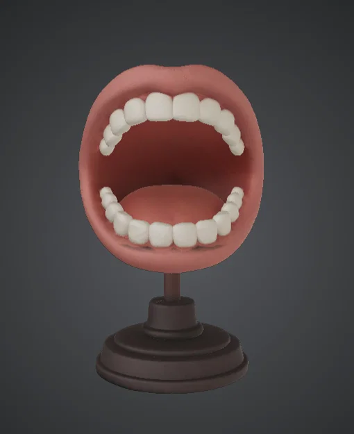 Mô hình trưng bày tượng bán thân miệng há – Răng & khoang miệng chi tiết - Image 1