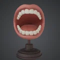 Mô hình trưng bày tượng bán thân miệng há – Răng & khoang miệng chi tiết - Thumbnail 1