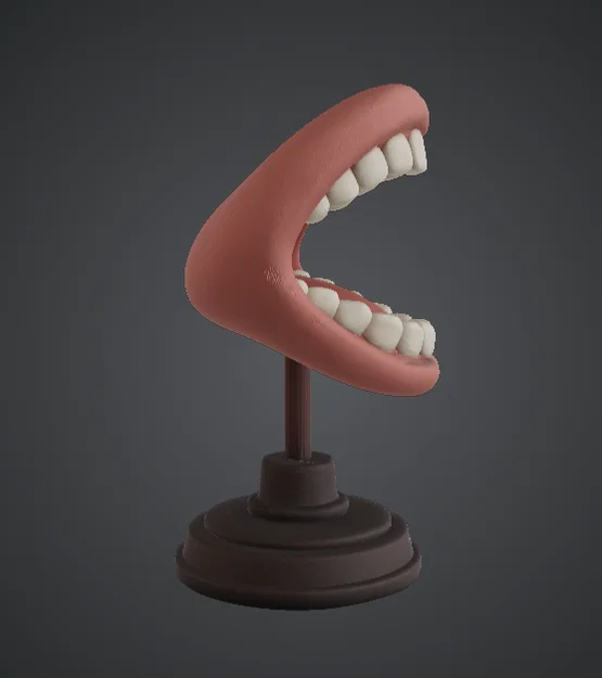 Mô hình trưng bày tượng bán thân miệng há – Răng & khoang miệng chi tiết - Image 2