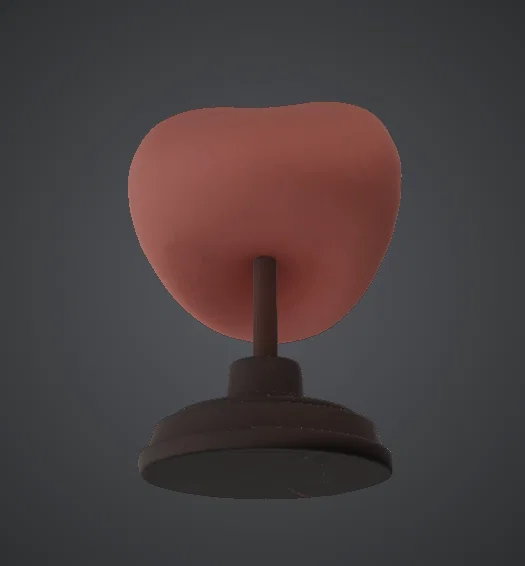 Mô hình trưng bày tượng bán thân miệng há – Răng & khoang miệng chi tiết - Image 3