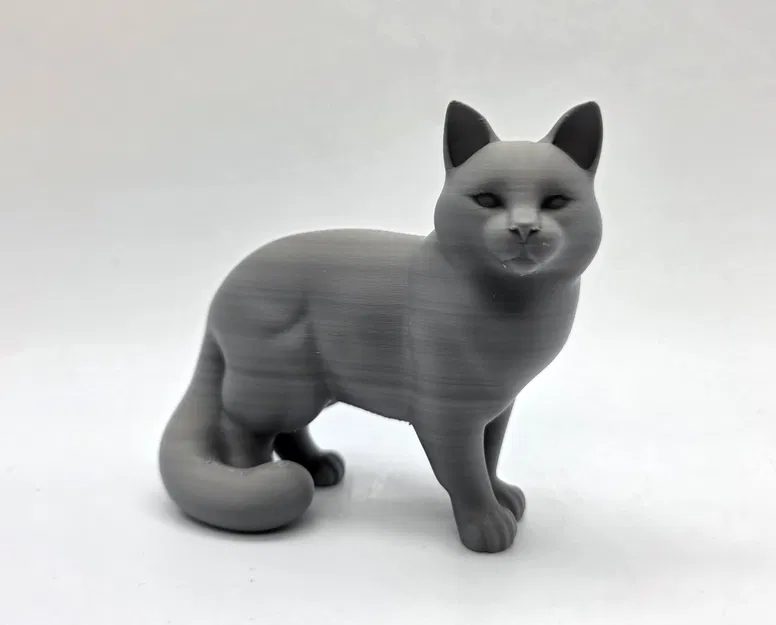 Mèo Đứng - Đuôi Xù (Standing Cat - Fluffy Tail) - Image 2