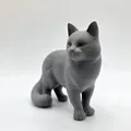 Mèo Đứng - Đuôi Xù (Standing Cat - Fluffy Tail) - Thumbnail 3