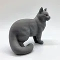 Mèo Đứng - Đuôi Xù (Standing Cat - Fluffy Tail) - Thumbnail 4