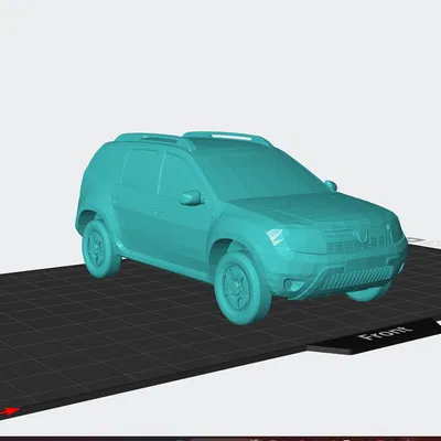 Duster (cây phủi bụi)