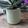 Chậu Planter MONSTERA (12 cm) – thiết kế lá Monstera tối giản - Thumbnail 2