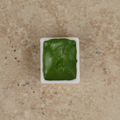 Watercolor Half Pan (Khay màu nước nửa ô)