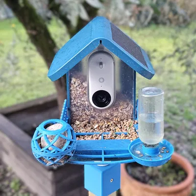 Bệ Đậu và Rào Chắn Hông cho Bird Buddy (Bird Buddy Perch and fence)