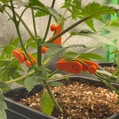 Kẹp LST Điều Chỉnh Kích Thước (LST Clips Size Adjustable)