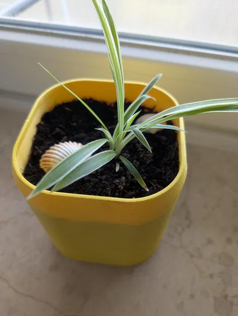 NeoPod - Chậu tự tưới có wick và bình chứa nước ẩn - Image 3