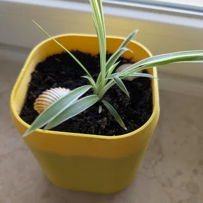 NeoPod - Chậu tự tưới có wick và bình chứa nước ẩn