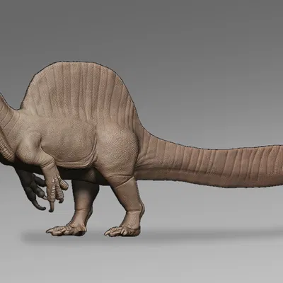 Mô hình Scimitar Spinosaurid (tỉ lệ 1:24)