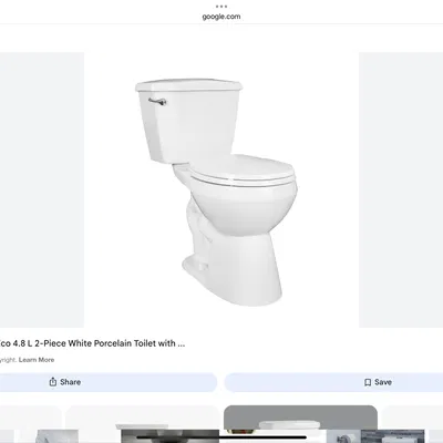 Nhà vệ sinh cho chim (Bird toilet)