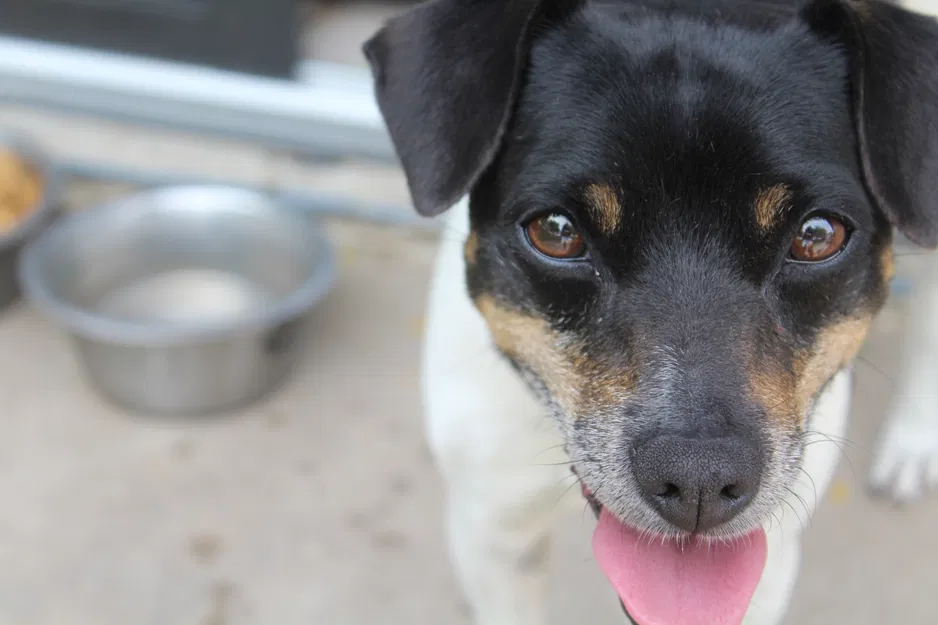 Test print rectangle (mẫu in thử hình chữ nhật) - Image 1