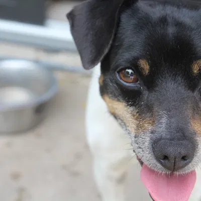 Test print rectangle (mẫu in thử hình chữ nhật)