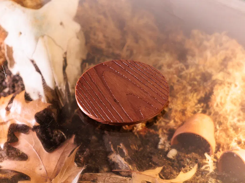 Lót ly vân gỗ bằng Blender Geometry Nodes - Image 2