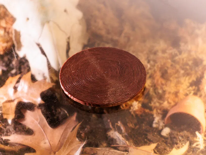 Lót ly vân gỗ bằng Blender Geometry Nodes - Image 3