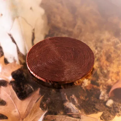 Lót ly vân gỗ bằng Blender Geometry Nodes