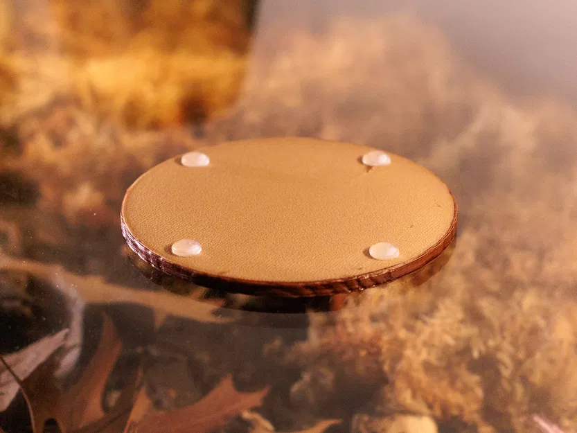 Lót ly vân gỗ bằng Blender Geometry Nodes - Image 5