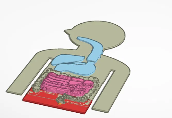 Hệ tiêu hoá (The Digestive System) - Image 1