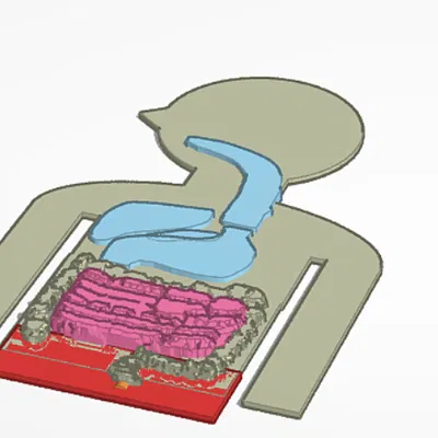 Hệ tiêu hoá (The Digestive System)