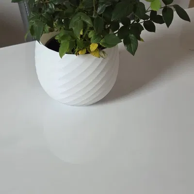 Bình hoa (Flower vase)