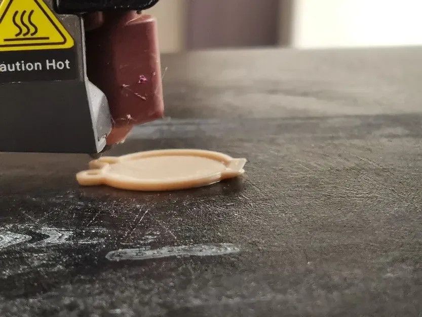 Cilinder Cat – Mèo Hình Trụ - Image 2