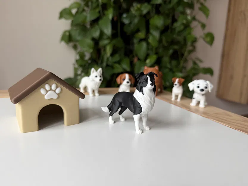 Border Collie (Đen & Trắng) – Mô hình chó chân thực - Image 1