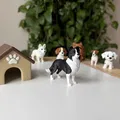 Border Collie (Đen & Trắng) – Mô hình chó chân thực - Thumbnail 1