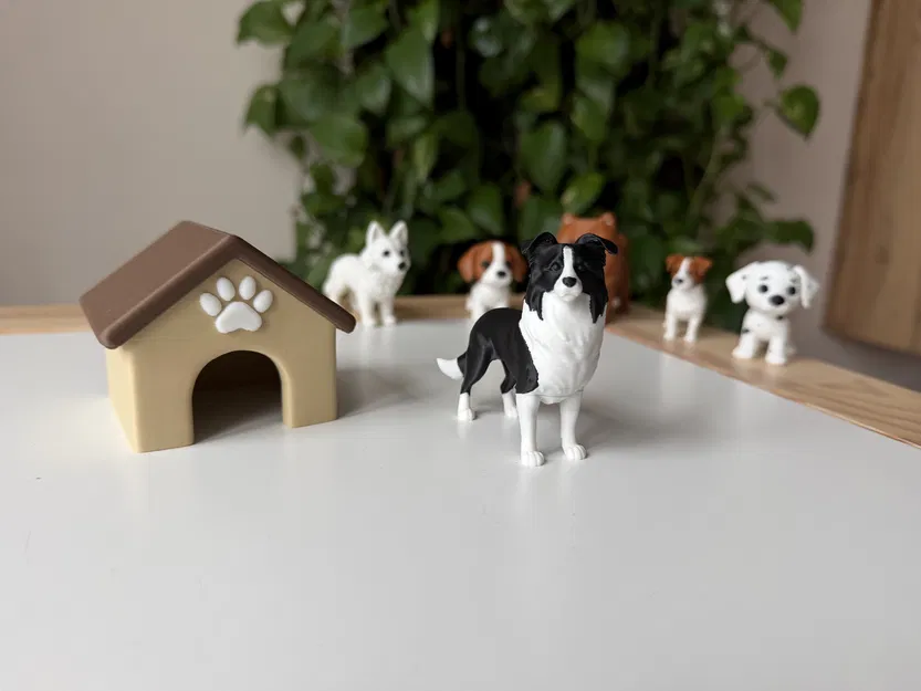 Border Collie (Đen & Trắng) – Mô hình chó chân thực - Image 2