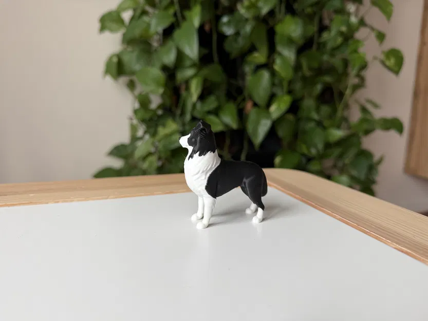 Border Collie (Đen & Trắng) – Mô hình chó chân thực - Image 3