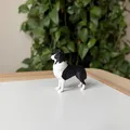 Border Collie (Đen & Trắng) – Mô hình chó chân thực - Thumbnail 3