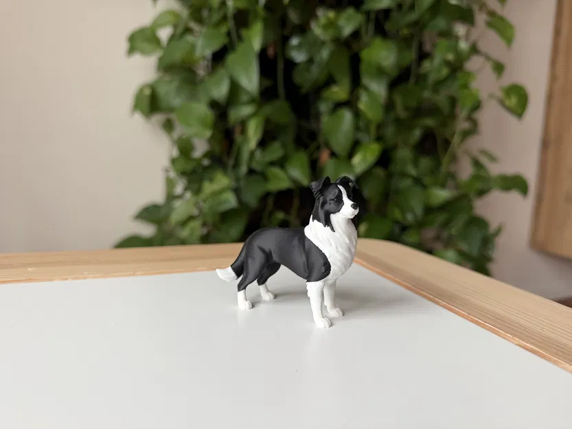 Border Collie (Đen & Trắng) – Mô hình chó chân thực - Image 4