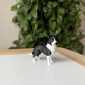 Border Collie (Đen & Trắng) – Mô hình chó chân thực - Thumbnail 4