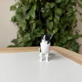 Border Collie (Đen & Trắng) – Mô hình chó chân thực - Thumbnail 5