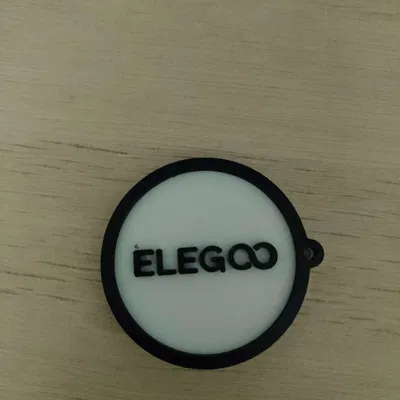Móc khóa Elegoo (elegoo keychain)