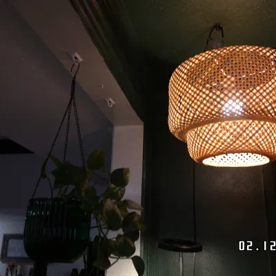 Móc treo cây (Plant Hanger) treo trần