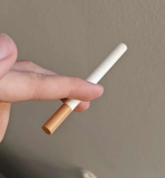 Thuốc lá giả (Fake cigarette) - Image 2