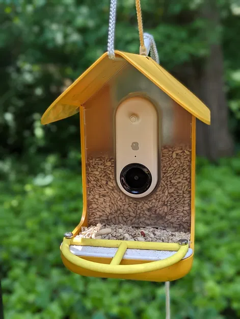 Perch Bird Buddy Nhỏ Gọn, Đơn Giản - Image 1