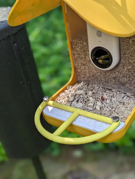 Perch Bird Buddy Nhỏ Gọn, Đơn Giản - Image 2