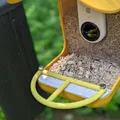 Perch Bird Buddy Nhỏ Gọn, Đơn Giản - Thumbnail 2